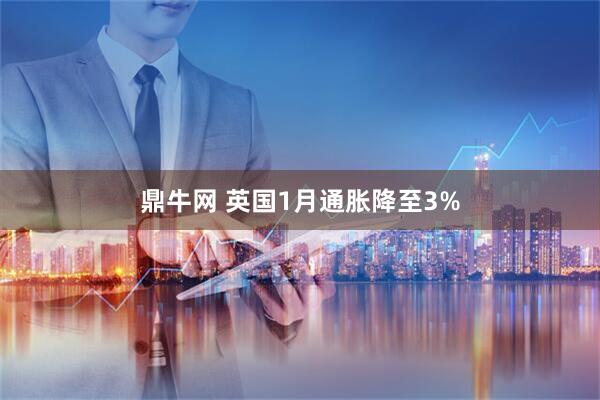 鼎牛网 英国1月通胀降至3%
